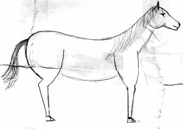 лошадь 03